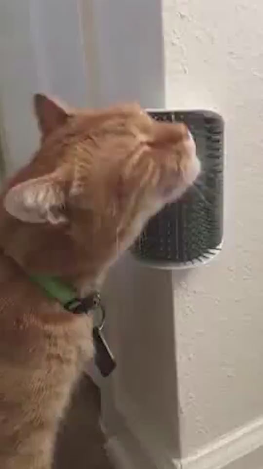 Cat Self-Grooming Brush Pet Wall Rubbing Device